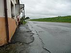 Třibřichy